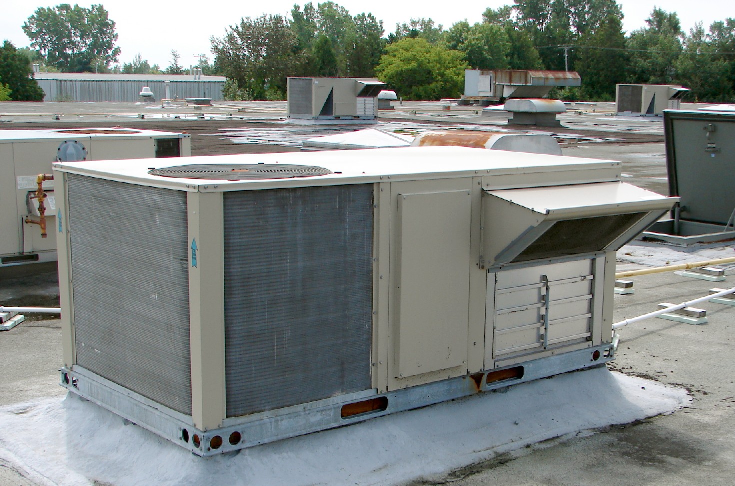 Rooftop packaged HVAC units on a low-slope commercial roof